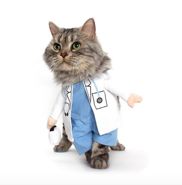 Dr. Meow Mix Costume