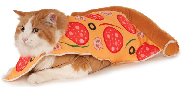 Pizza Slice Costume